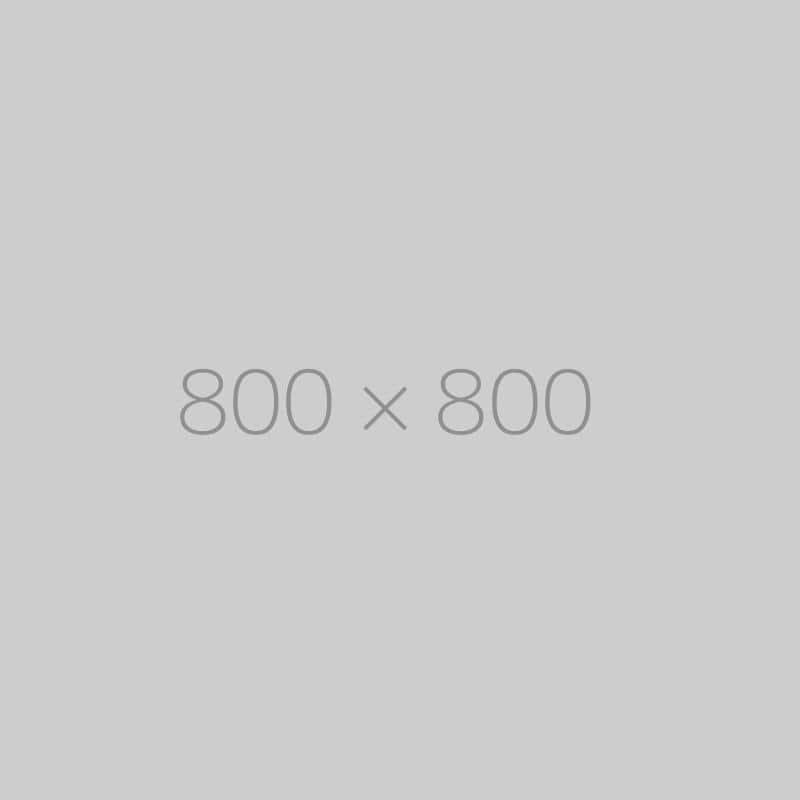 hongo 800x800 ph