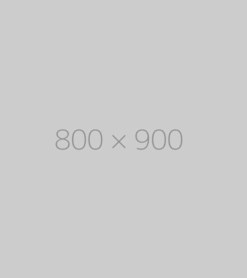 hongo 800x900 ph