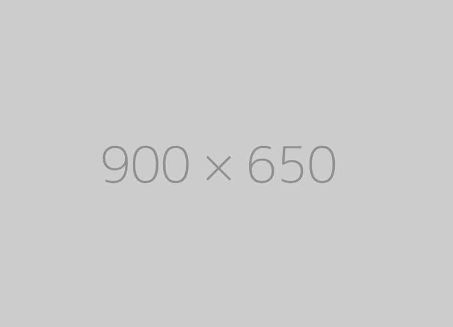hongo 900x650 ph 1